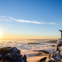 Basic Survival Skills  Basic Survival Skills
