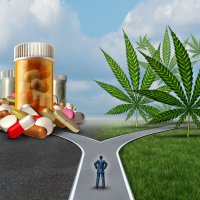 Medical Marijuana Medical Marijuana