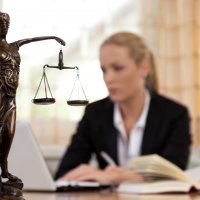 Paralegal Professional Paralegal Professional