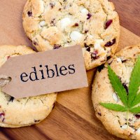 The Cannabis Kitchen The Cannabis Kitchen