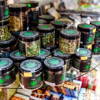 Start Your Own Cannabis Business Start Your Own Cannabis Business