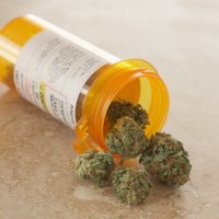 Cannabis Pharmacy Cannabis Pharmacy