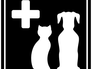 First Aid for Dogs and Cats  First Aid for Dogs and Cats