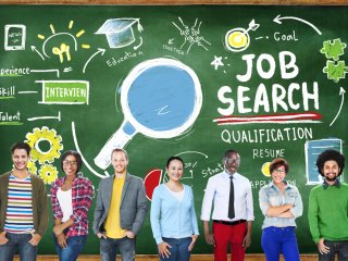 Job search